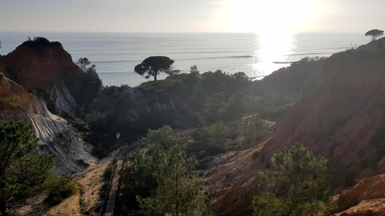 Magnific Studio With A Cozy Garden, 5 Minutes To The Beach Albufeira Bagian luar foto